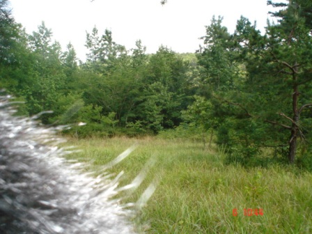 Figure 2. This photo was taken in 2006 by a Sony wildlife camera of a mysterious animal as it attacks the camera.