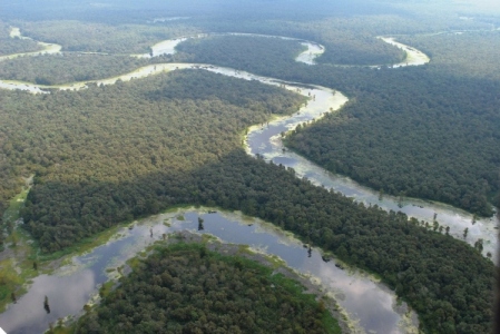 Aerial view of the Sulphur River Wildlife Management Area in Southwest Arkansas.