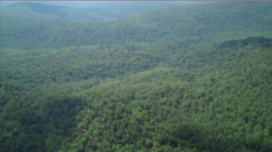 An aerial view of the study area.