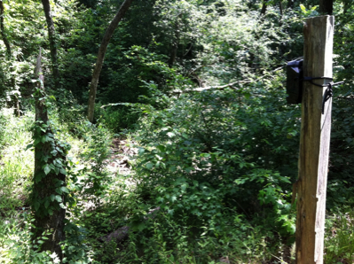 Reconyx camera trap on a post overlooking a dry creek bed. 