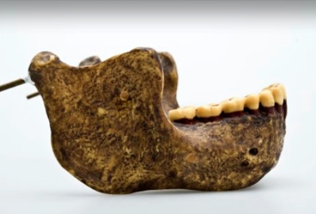 Jawbone of H. heidelbergensis. 