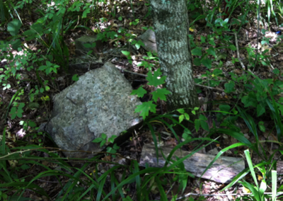 The tree with displaced firewood where many knocking sounds originated during the night.