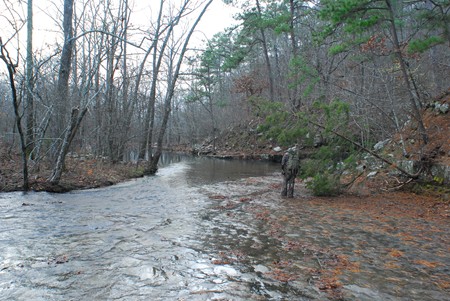 A winter camera maintenance trip when all the hardwoods have lost their leaves.