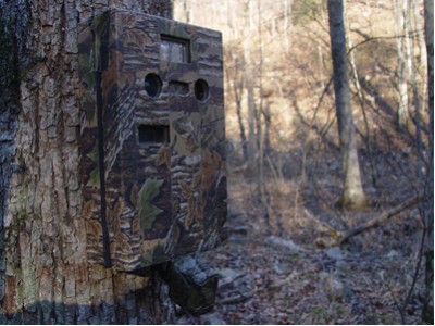 An Operation Forest Vigil camera trap keeps a watchful eye. 