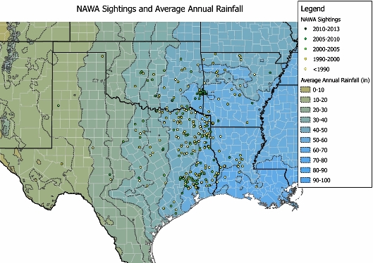 From west to east in the four-state region, annual rainfall totals increase greatly.  Alleged wood ape encounters seem to mostly correspond with higher annual rainfall totals.  GIS rainfall/sightings map by Ed Harrison.