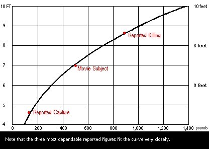 Figure 1. Height and weight curve for sasquatches based on 300 pound body weight at six feet tall.