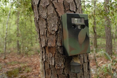 Camera trap YC9 patiently waits to go into action. 