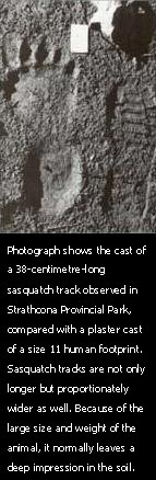 Sasquatch track and size 11 human boot print.
