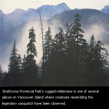 Strathcoma Provincial Park.