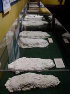 Track casts on display.