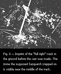 Fig. 8 — Imprint of the "full right" track in the ground before the cast was made. 