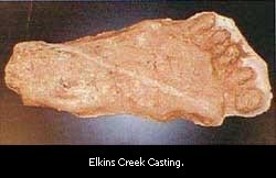 The Elkins Creek casting.