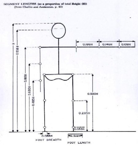 Figure 8. These proportions were taken from data for North American adults. 