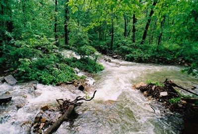 Area X receives over 60 inches of annual rainfall.