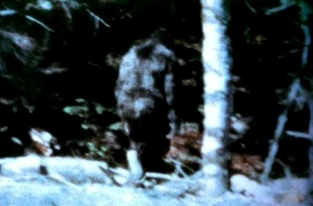 A frame from the Patterson-Gimlin footage, filmed in October 1967 in northern California. Critics say it was faked; proponents say there's no way it was faked. Every attempt to prove it was a hoax or recreate it has been unsuccessful.