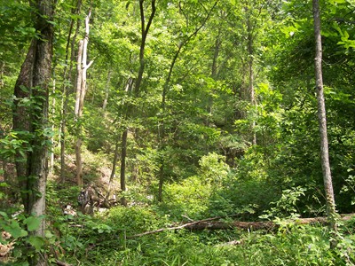 Mark Porter is not easy to spot in this photo from Area X, May 2007. 